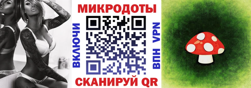 Галлюциногенные грибы Psilocybine cubensis где найти наркотики Гуково